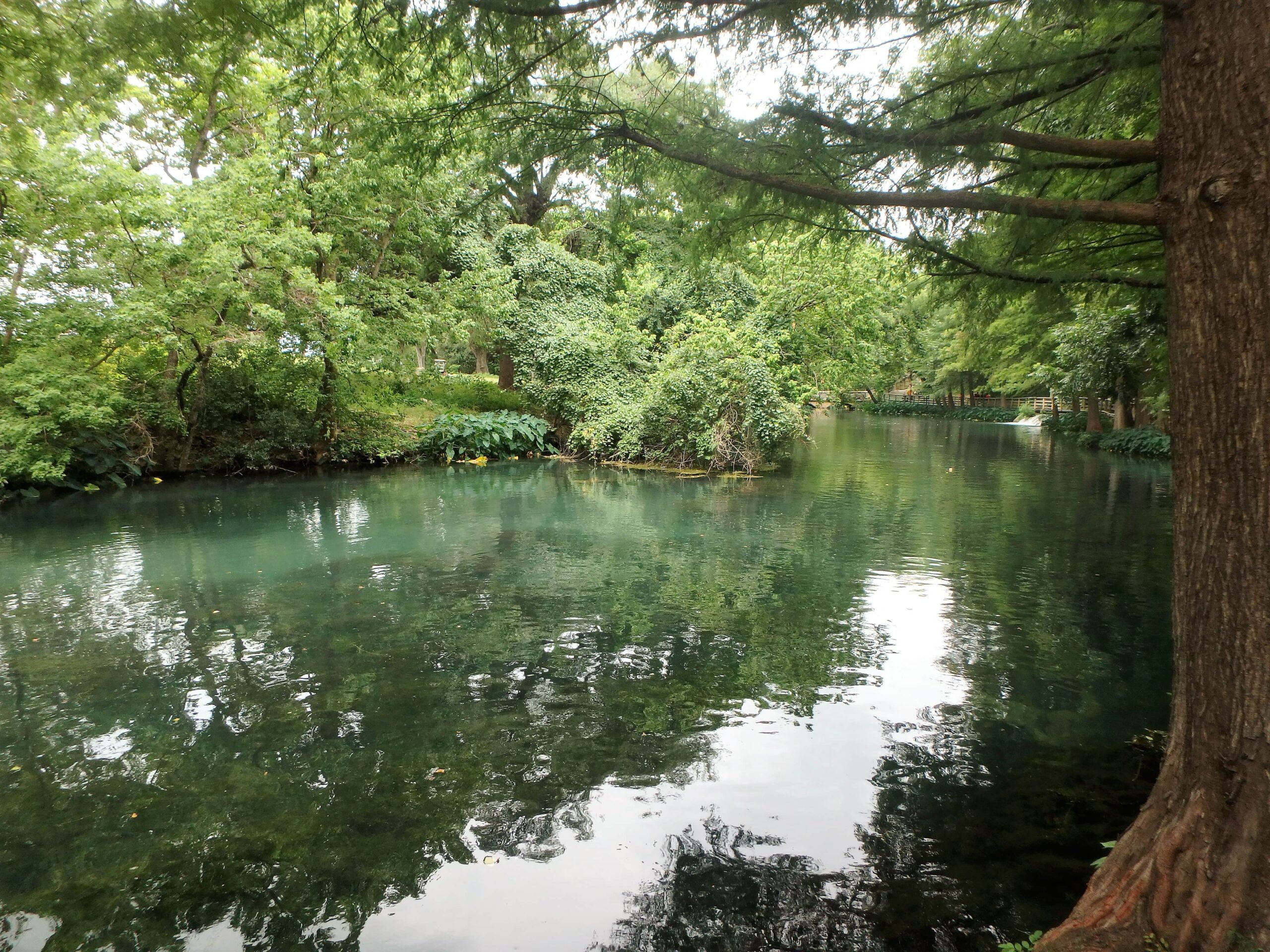 Why New Braunfels is The Perfect Mix Between Small Town Living and City Life